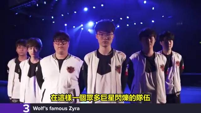 档期与